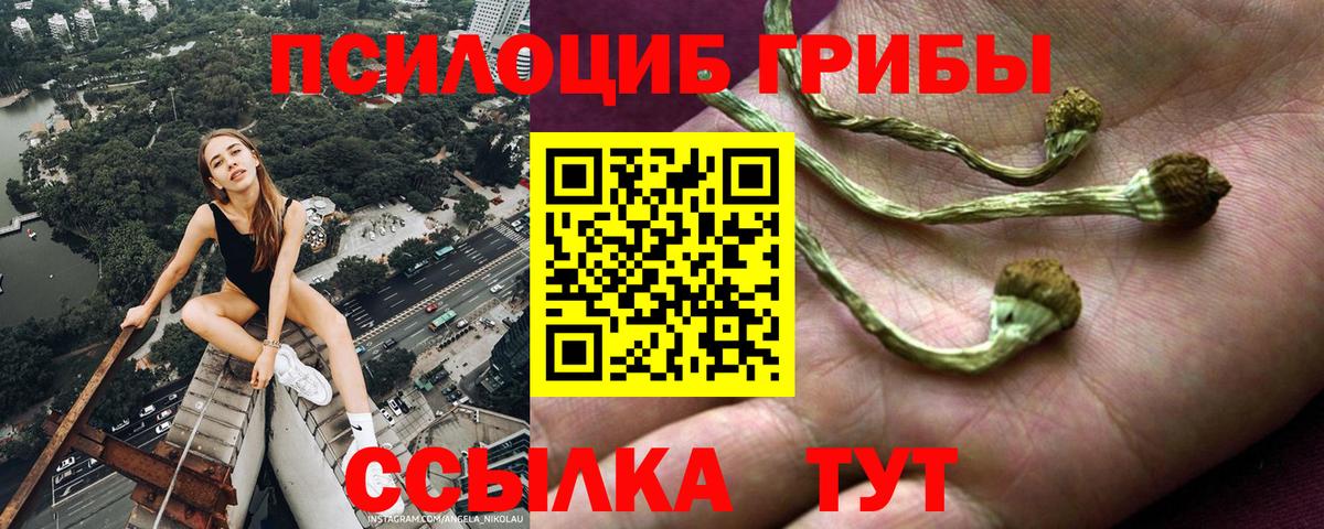 Псилоцибиновые грибы GOLDEN TEACHER Ступино
